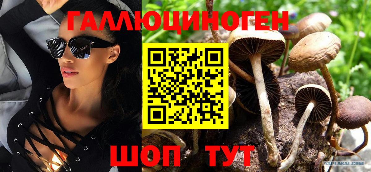 Галлюциногенные грибы Psilocybine cubensis  Вход с VPN  Белгород  Галлюциногенные грибы GOLDEN TEACHER 